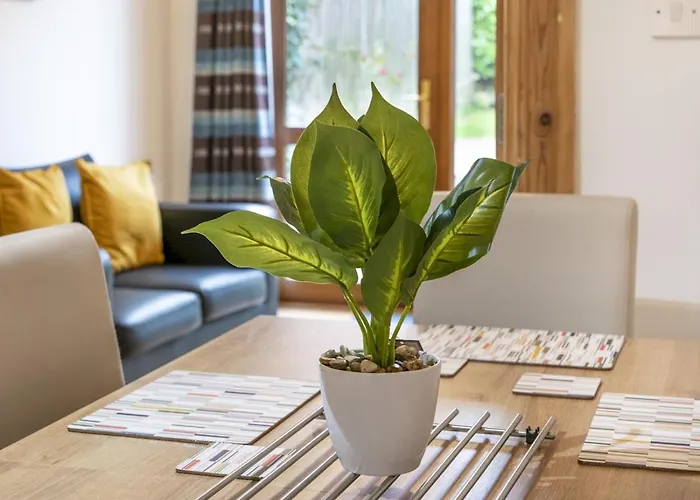 Pass The Keys Lovely 4Br Home W Garden 7 Min From City Centre